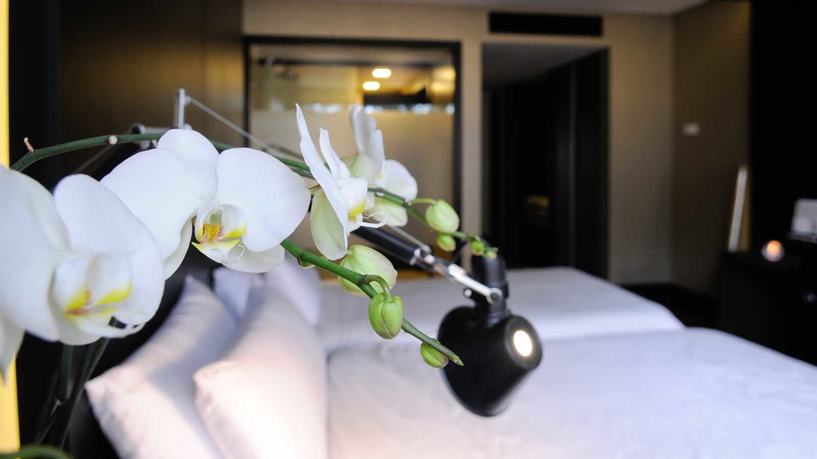 Evidencia Belverde Hotel Amora Kültér fotó